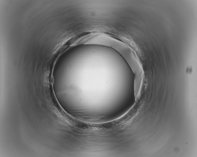 X0000090870585200708101335