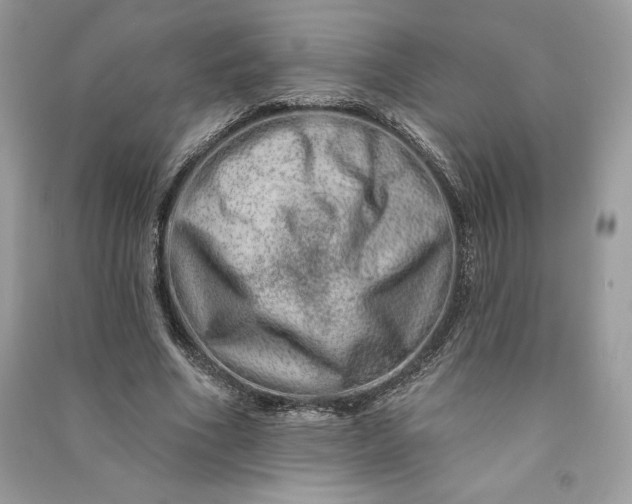 X0000090870586200708101335