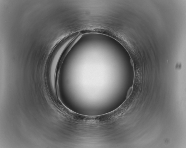 X0000090870587200708101335