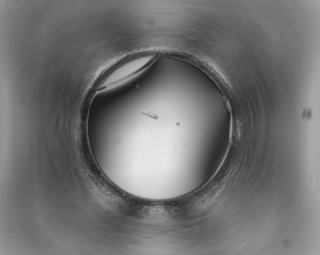 X0000090870588200708101335