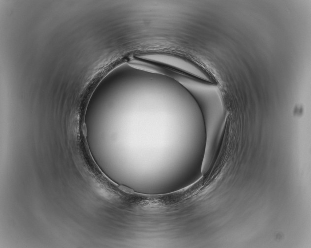 X0000090870589200708101335