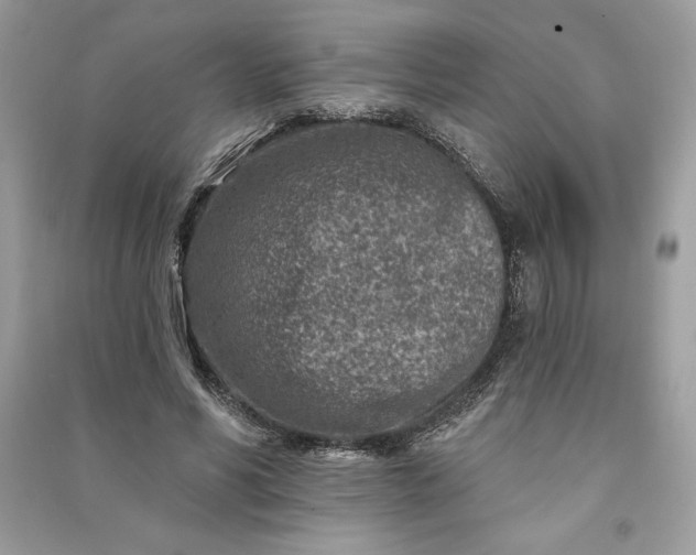 X0000090870590200708101335