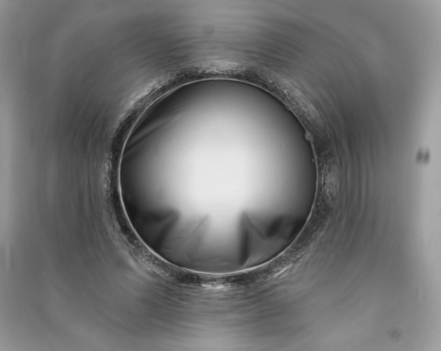 X0000090870591200708101335