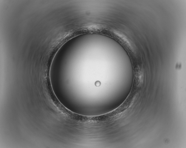 X0000090870593200708101335