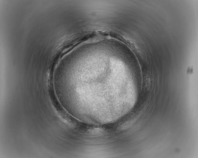 X0000090870594200708101335