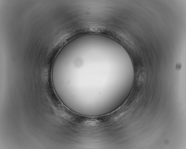 X0000090870595200708101335