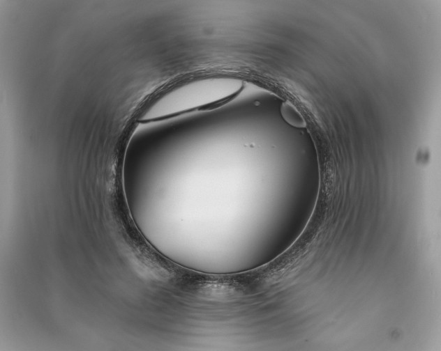 X0000090870596200708101335