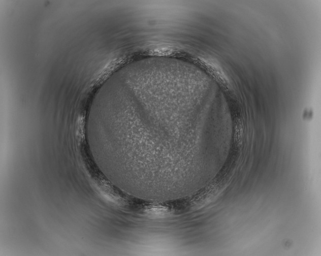 X0000090870598200708101335