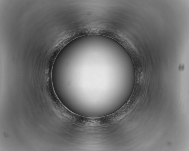 X0000090870599200708101335