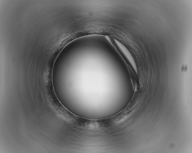 X0000090870600200708101335