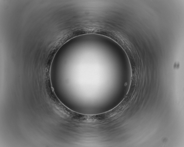 X0000090870601200708101335