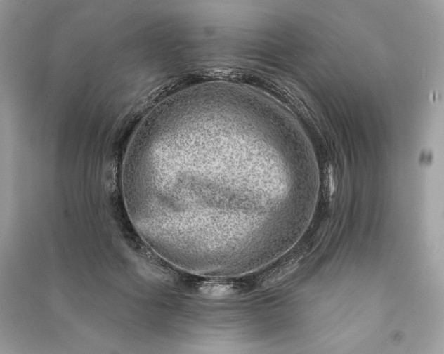 X0000090870602200708101335