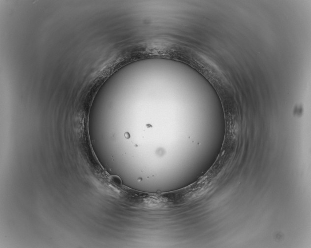 X0000090870603200708101335