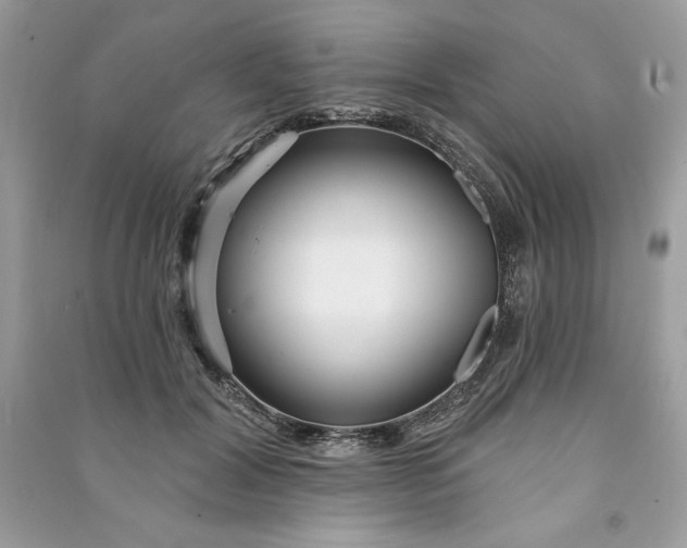 X0000090870604200708101335