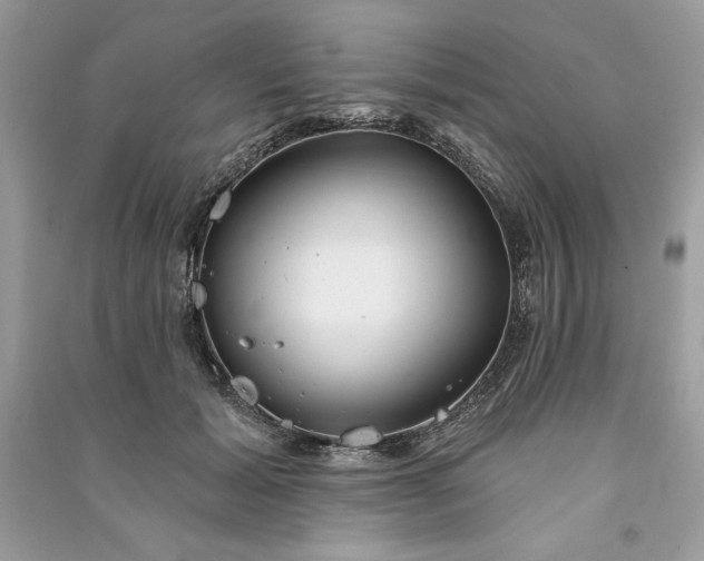 X0000090870605200708101335