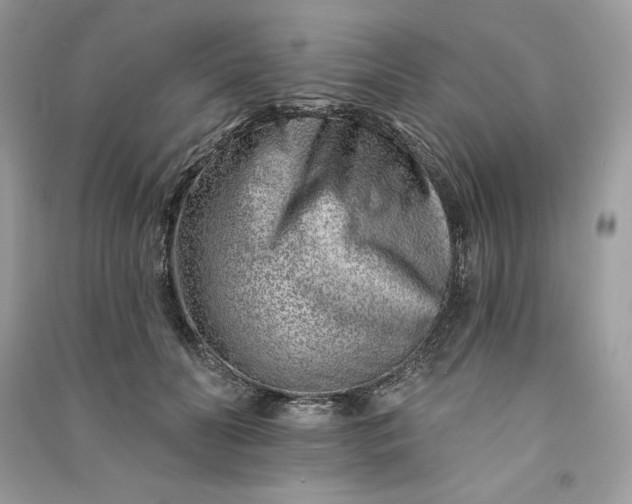 X0000090870606200708101335