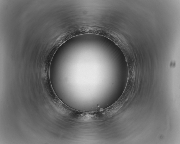 X0000090870607200708101335