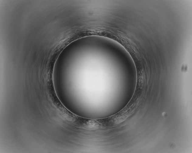 X0000090870608200708101335