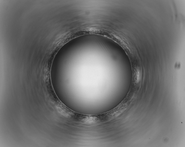 X0000090870609200708101335