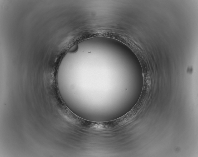 X0000090870611200708101335