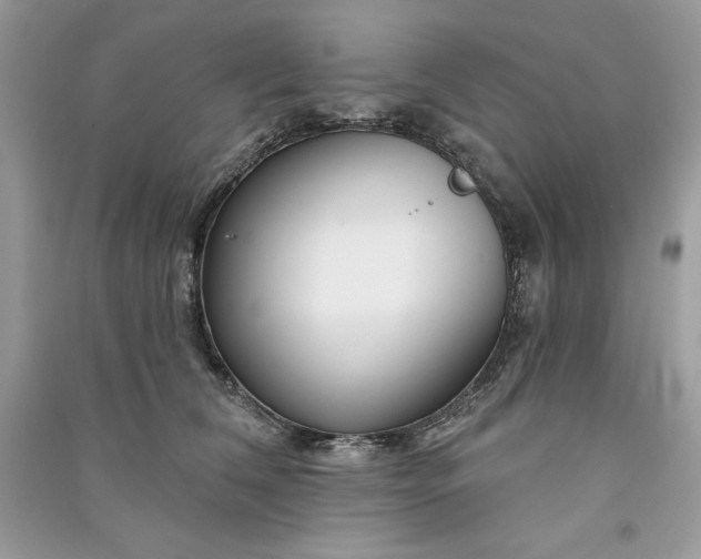 X0000090870612200708101335