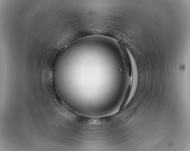 X0000090870613200708101335