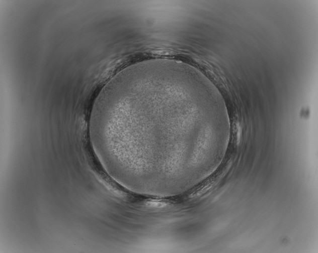 X0000090870614200708101335