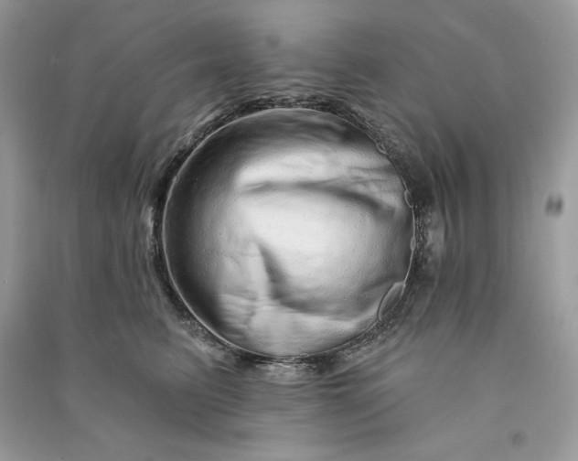 X0000090870615200708101335