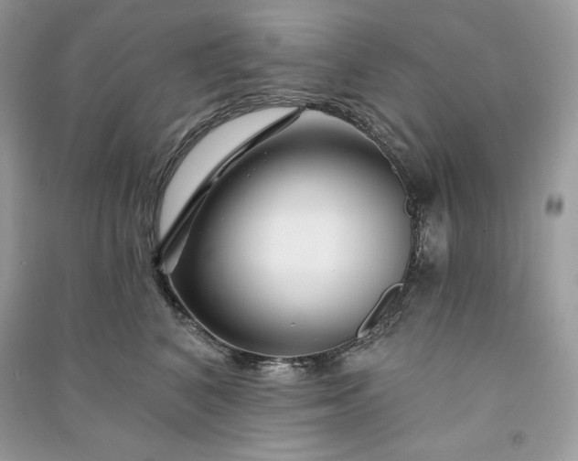 X0000090870616200708101335