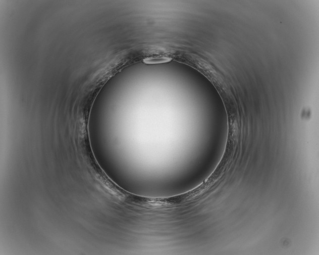 X0000090870617200708101335