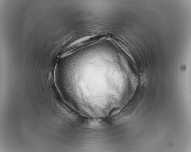 X0000090870618200708101335