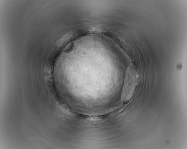 X0000090870619200708101335