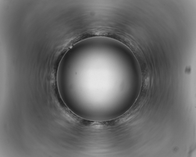 X0000090870620200708101335