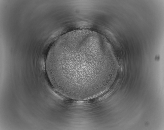 X0000090870622200708101335