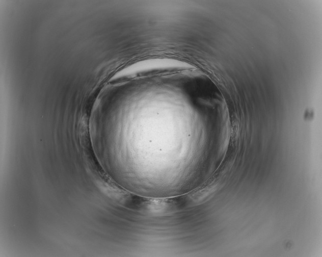 X0000090870623200708101335