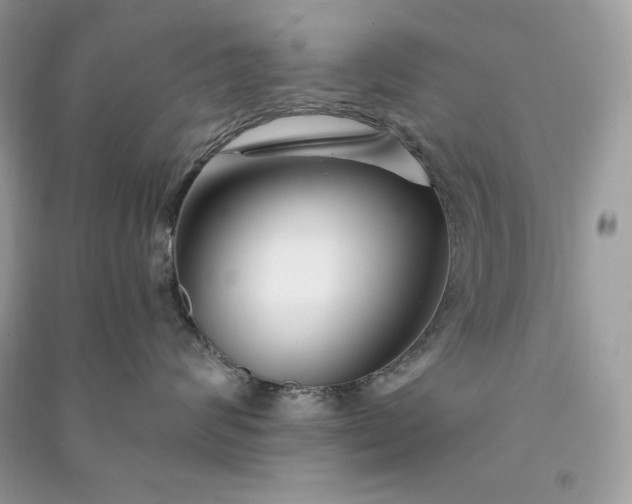 X0000090870624200708101335