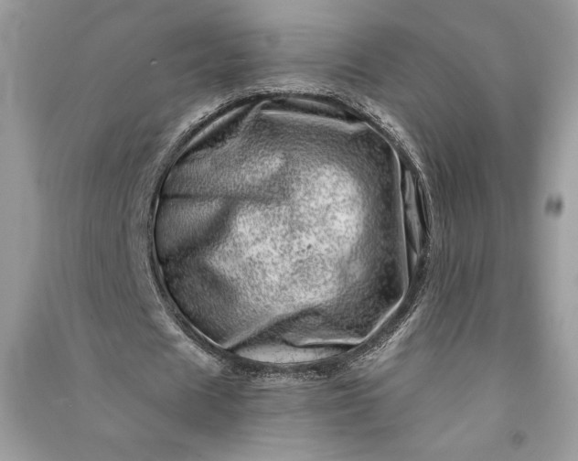 X0000090870625200708101334