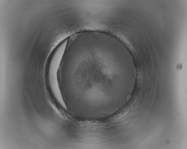 X0000090870626200708101334