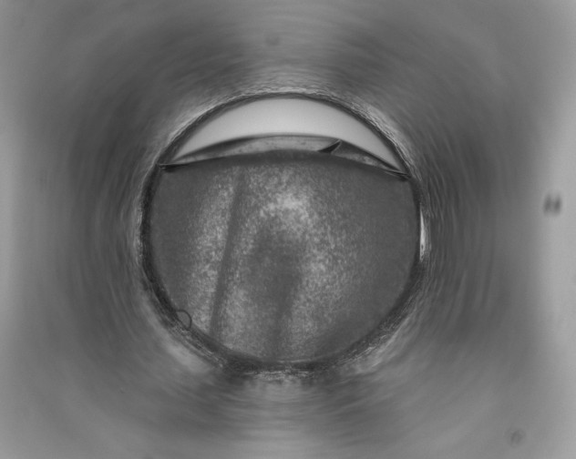 X0000090870627200708101334