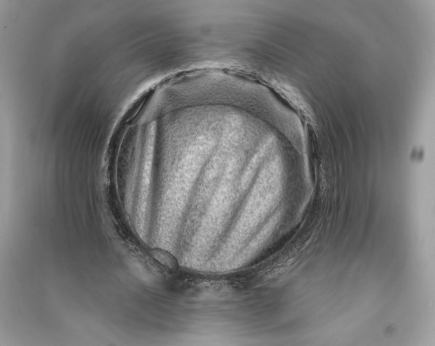 X0000090870628200708101334