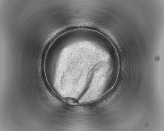 X0000090870629200708101334