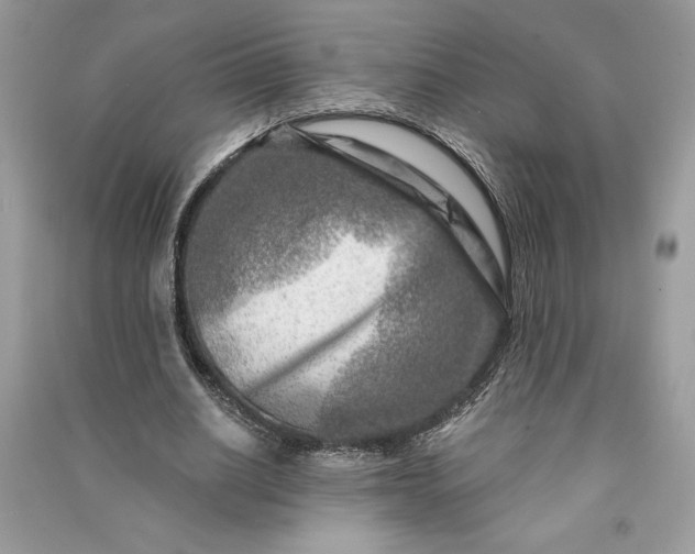 X0000090870630200708101334