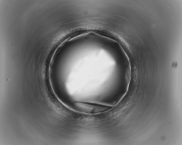 X0000090870631200708101334