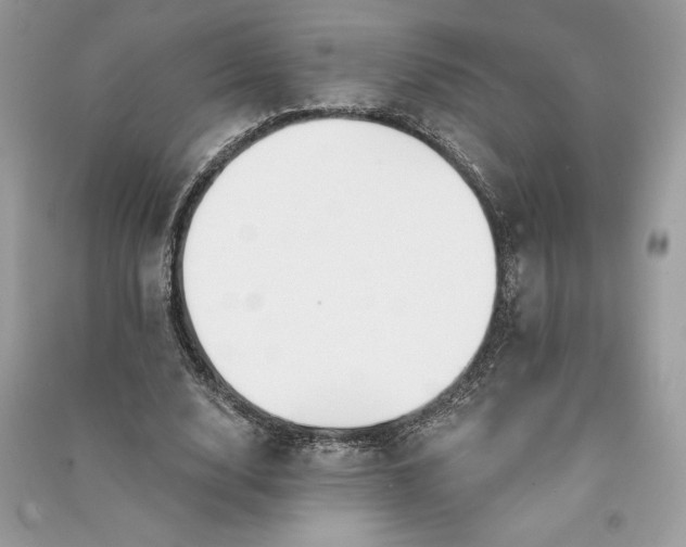 X0000090870632200708101334