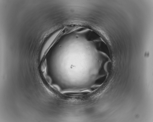 X0000090870633200708101334