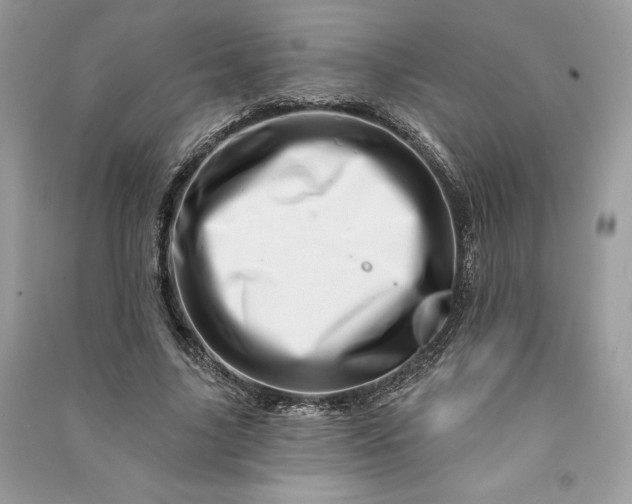 X0000090870635200708101335