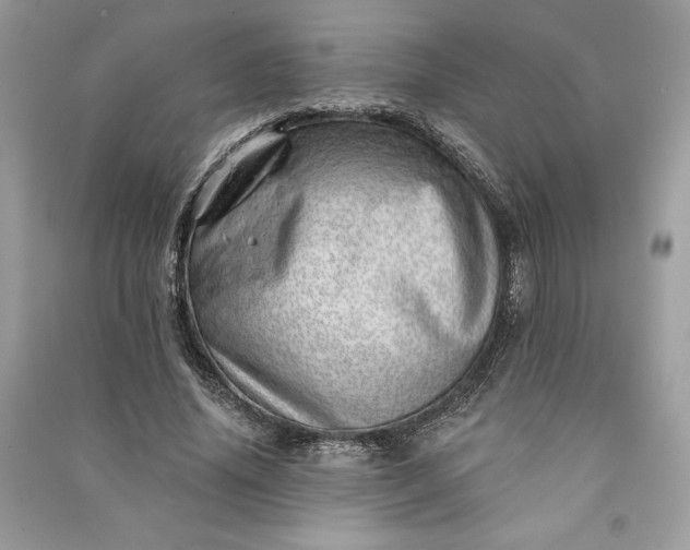 X0000090870636200708101335