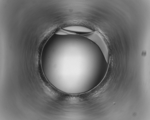 X0000090870637200708101335