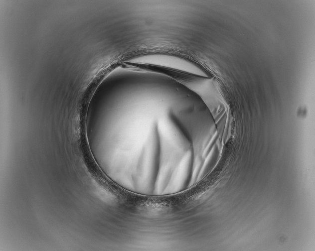 X0000090870638200708101335