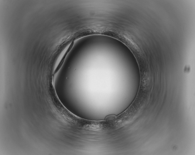 X0000090870639200708101335